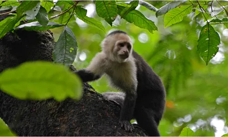 ´El planeta cuenta´ por Señal Colombia
