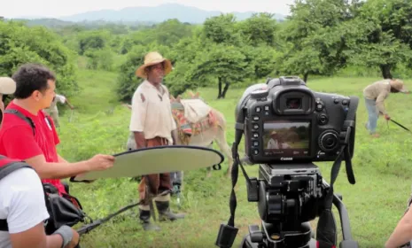 Especial Pueblos Indigenas