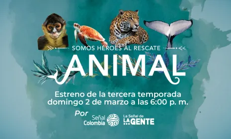 Señal Colombia estrena la serie ‘Somos héroes al rescate animal’