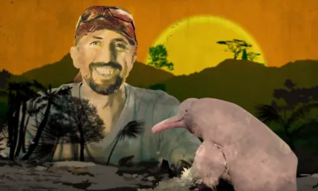 Heroes al rescate animal