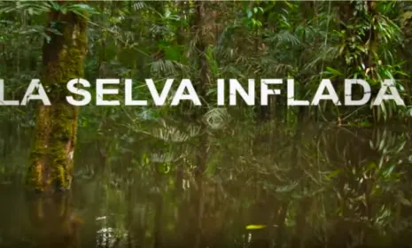 La Selva Inflada estreno por Señal Colombia