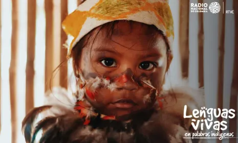 ‘Lenguas vivas: en palabras indígenas’, especial digital de Radio Nacional de Colombia