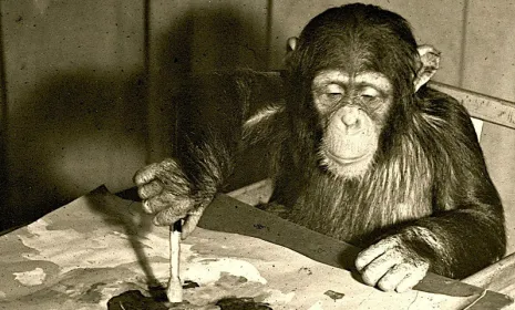 Animales inteligentes, documental de la BBC por Canal Uno