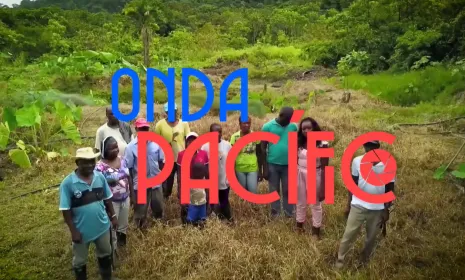 Estreno de "Onda Pacífico", el magazín que visibiliza las historias de la gente en el Pacífico colombiano