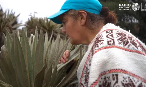 Maestro Páramos, documental de Radio Nacional de Colombia