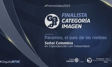 "Páramos, el país de las nieblas", finalista en el Premio Gabo 2023