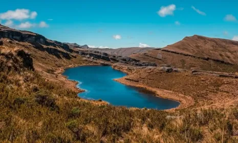 Páramos el país de las nieblas