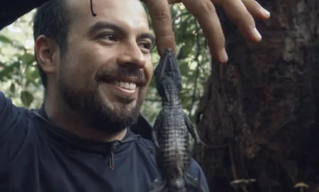 Ministerio de Cultura convocatoria