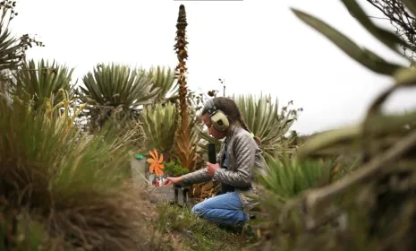 Radialismo Mágico: un documental que retrata la participación de los niños en la radio