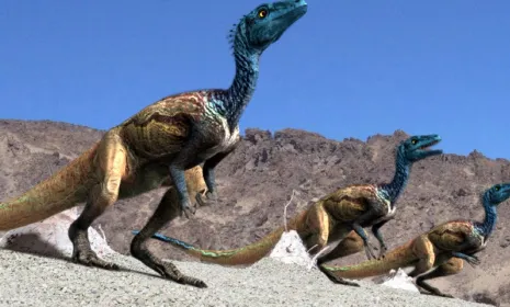 Reino de los dinosaurios