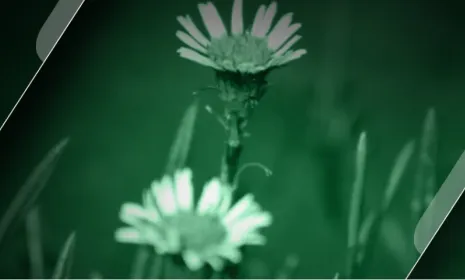 Nos pusimos de ambiente en RTVCPlay