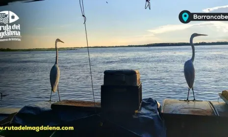 La Ruta del Magdalena: historias para repetir una y otra vez