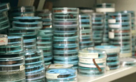 Soportes Señal Memoria de RTVC