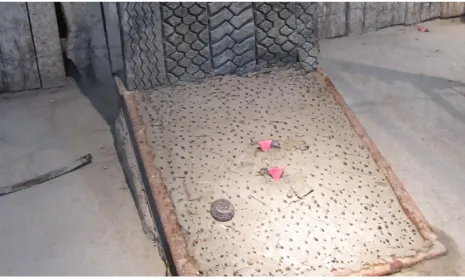 El campo en la radio