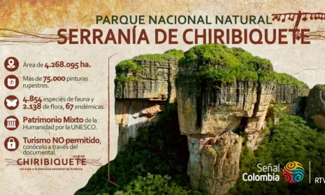Cinco cosas que debe saber antes de conocer las maravillas de Chiribiquete