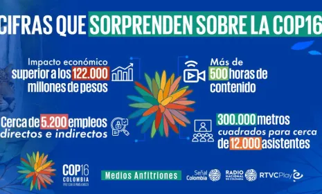 Las sorprendentes cifras de la COP16