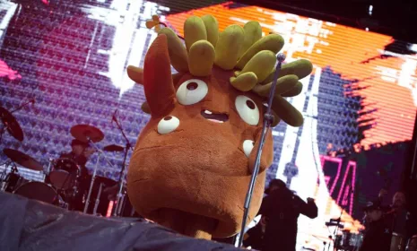 Frailejón Ernesto Pérez 2024