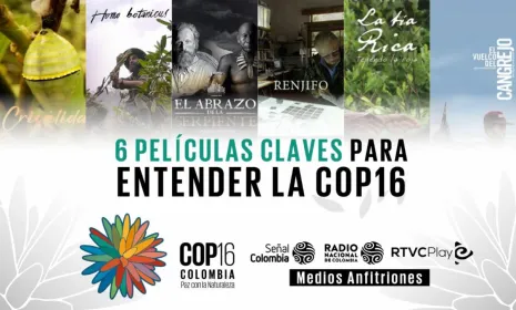 6 películas claves para entender la COP16