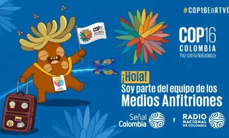 Frailejón Ernesto Pérez emprende una nueva aventura para salvar al planeta: COP16 ‘Paz con la Naturaleza’