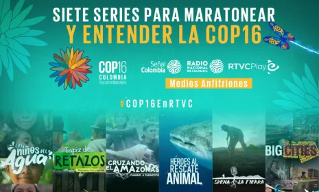 7 series para maratonear y entender la COP16