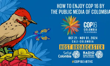 How to enjoy COP16 by The Public Media Of Colombia