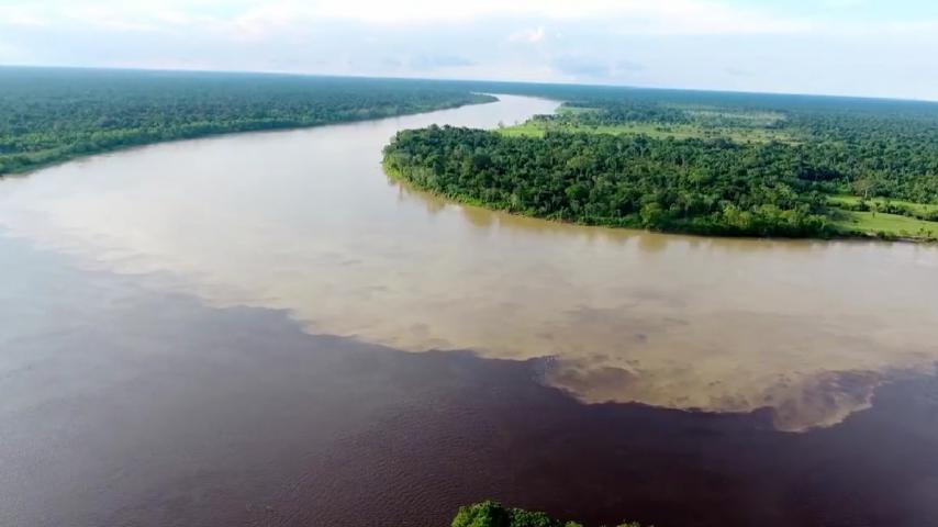 Música y medio ambiente: la oferta de RTVC para este lunes festivo