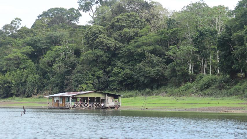 Respira Amazonía: el proyecto convergente del año en RTVC