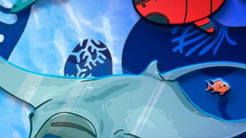 Mi Señal te explica la diferencia entre el mar y el océano