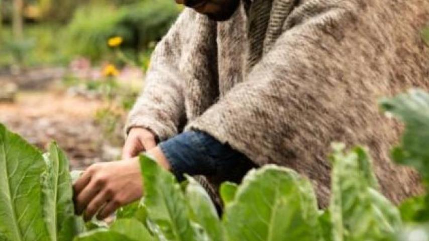 Bogotá campesina: un informe de Radio Nacional