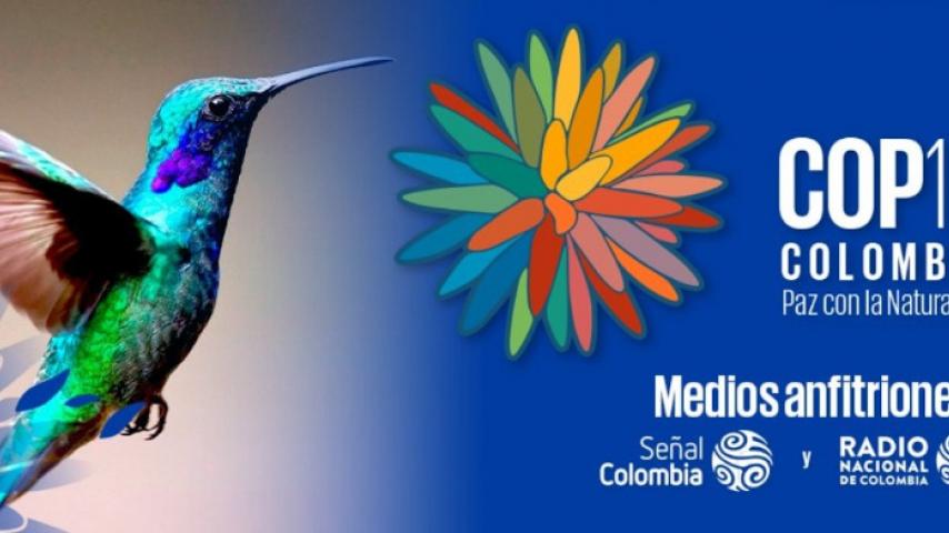 ¡Cinco cosas que debes saber de la COP16!