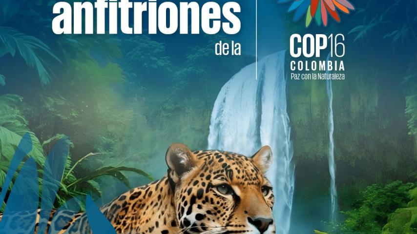 Señal Colombia y Radio Nacional, medios anfitriones de la COP 16 en Cali