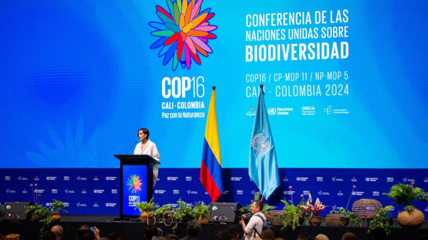 COP16: el futuro de la biodiversidad del planeta entero inicia su discusión en Cali