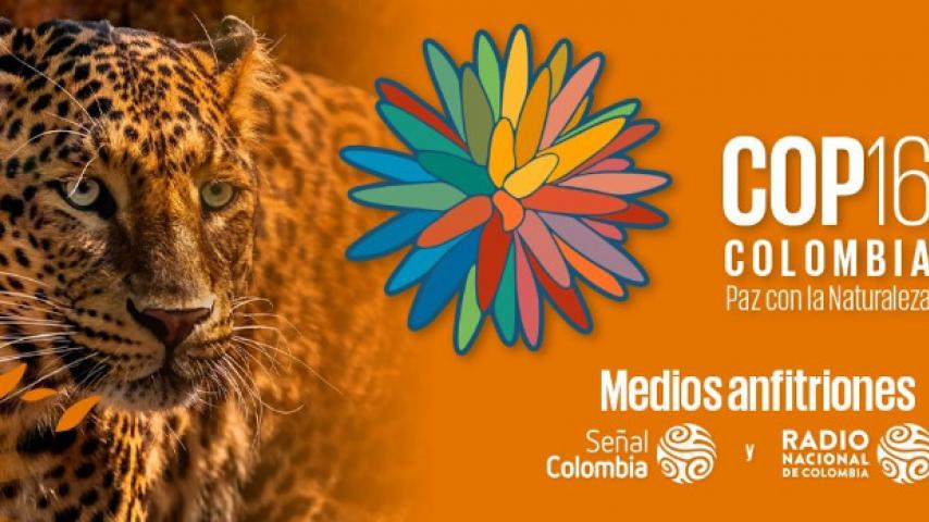 #COP16enRTVC: las sorprendentes cifras de la COP16