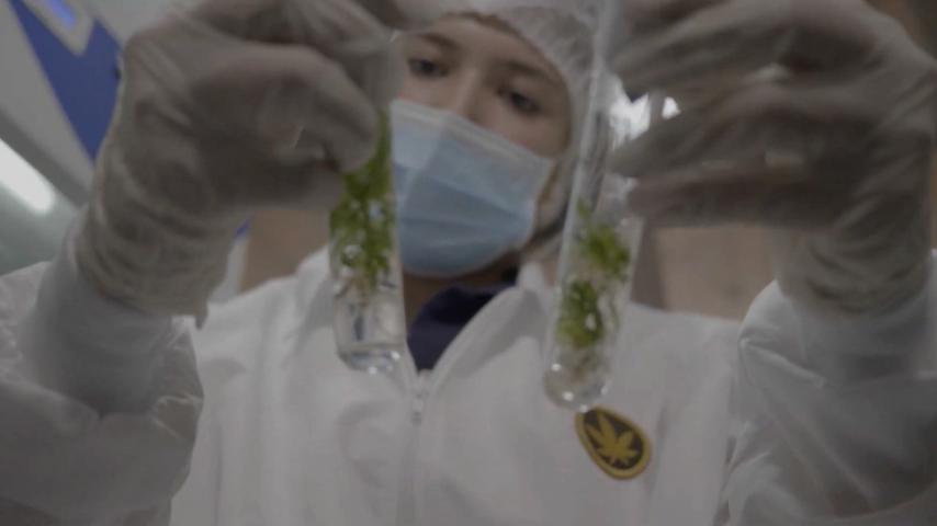 Señal Colombia y Radio Nacional: medios oficiales de la Conferencia Internacional de Reducción de Daños