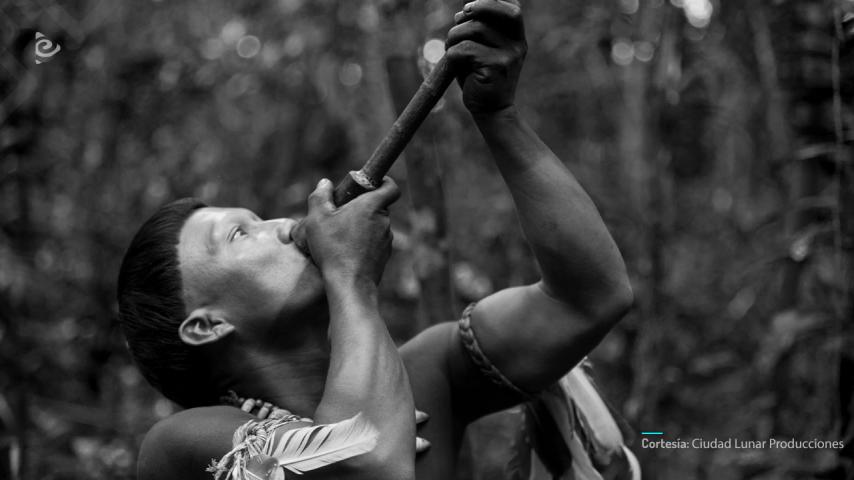 ¡Estreno! El abrazo de la serpiente ya está disponible en RTVCPlay