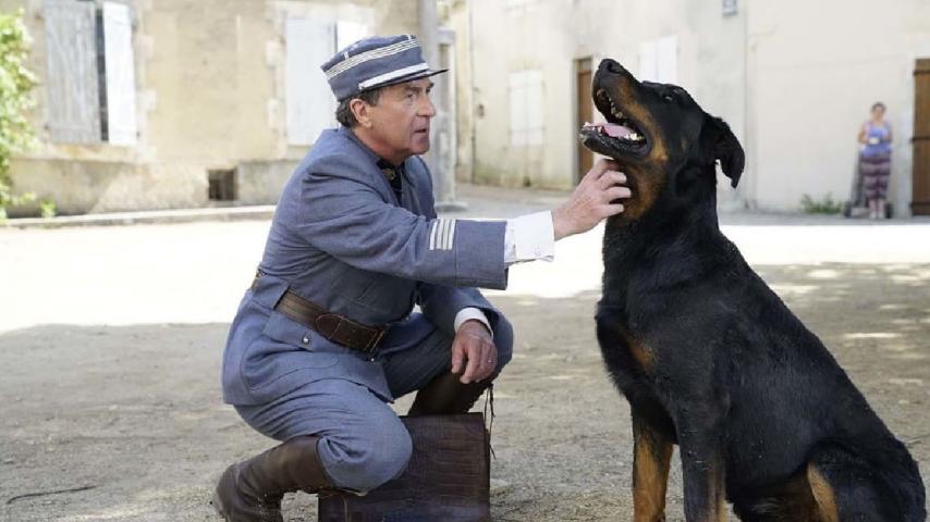 Cine para programarse este fin de semana por Señal Colombia