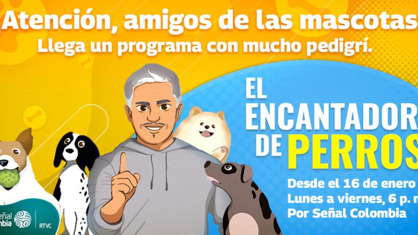 No te pierdas El encantador de perros, de lunes a viernes en Señal Colombia