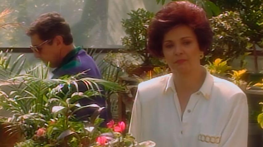 Señora Isabel, la original, llega a la pantalla de Señal Colombia