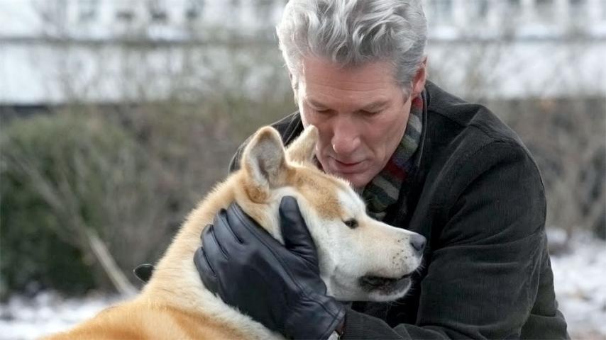 ¡En cine nos vemos! Conoce las películas de agosto por Señal Colombia