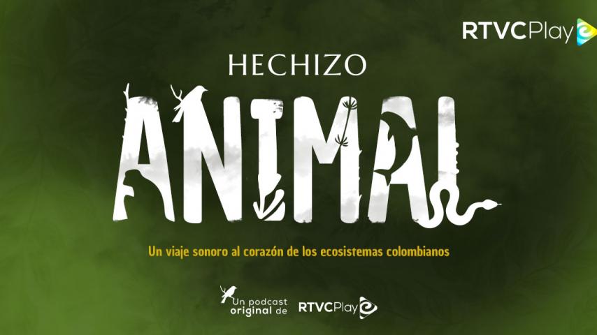 Escucha "Hechizo animal": un viaje sonoro a nuestros ecosistemas