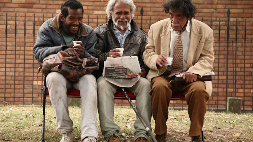 ¡Estreno! Mira "La sociedad del semáforo" en RTVCPlay