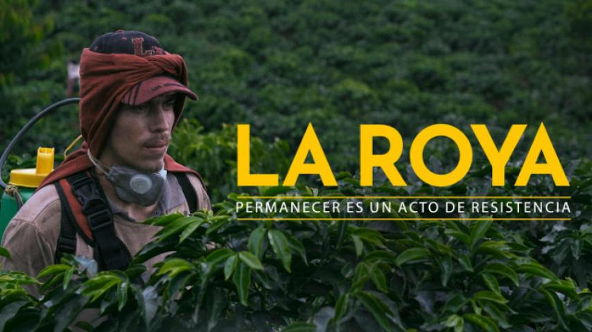 Cinco películas para disfrutar en RTVCPlay en 2023