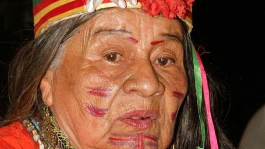 Los 65 idiomas indígenas que se hablan en Colombia