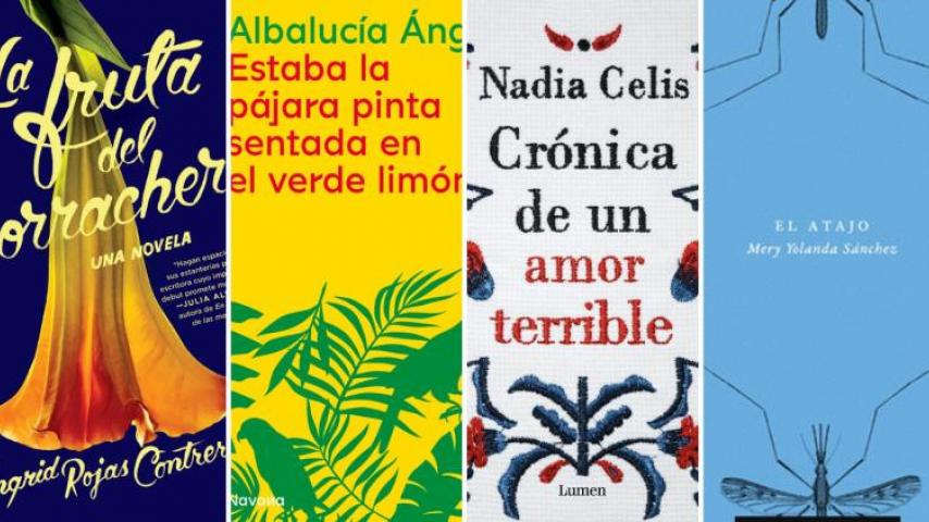 Guía Radiónica con 20 libros de escritoras colombianas
