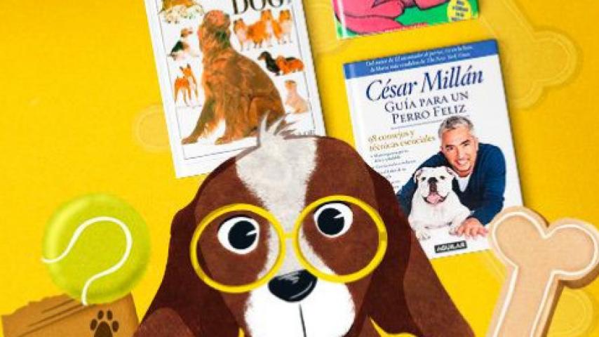 Libros sobre perritos célebres que debes conocer