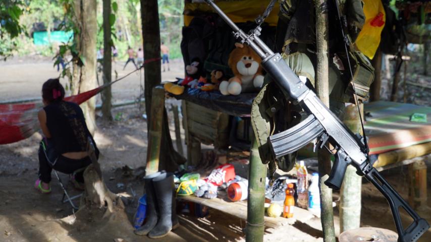 La vida después de la guerra: especial de RTVC Noticias