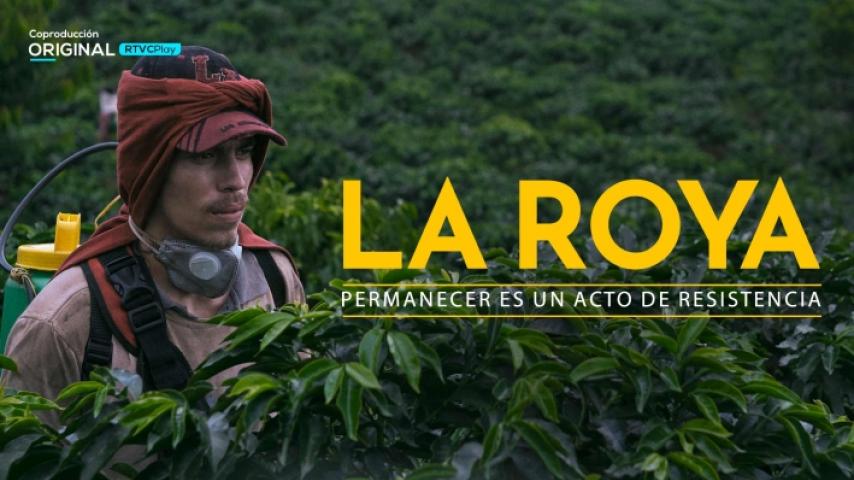 El pódcast Hecho en Colombia explora "La Roya", disponible en RTVCPlay