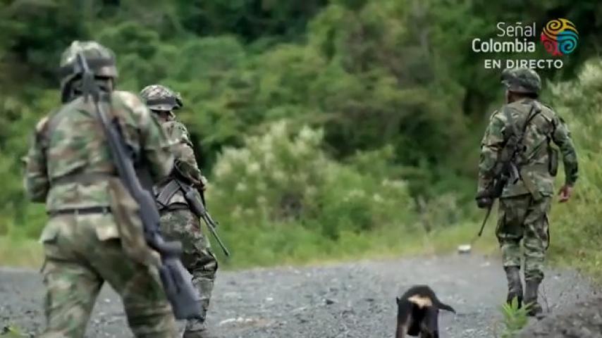 Los N.N. de Sevilla, Valle: especial de RTVC Noticias