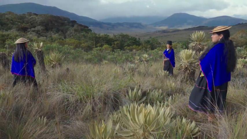 Páramos, el origen: documental de estreno por Señal Colombia