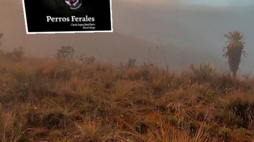 Páramos: experiencia interactiva